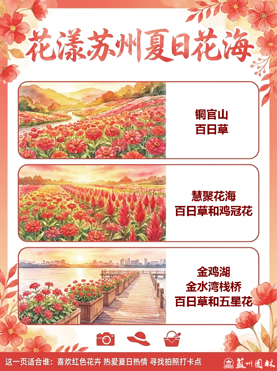19.png