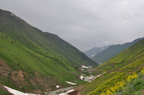 丝绸之路 (3) (1).jpg