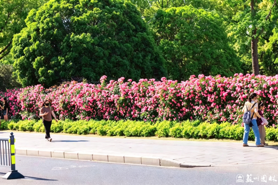 10.png