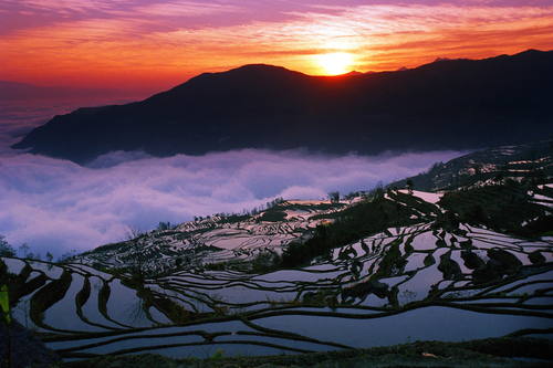 哈尼梯田 (8).jpg