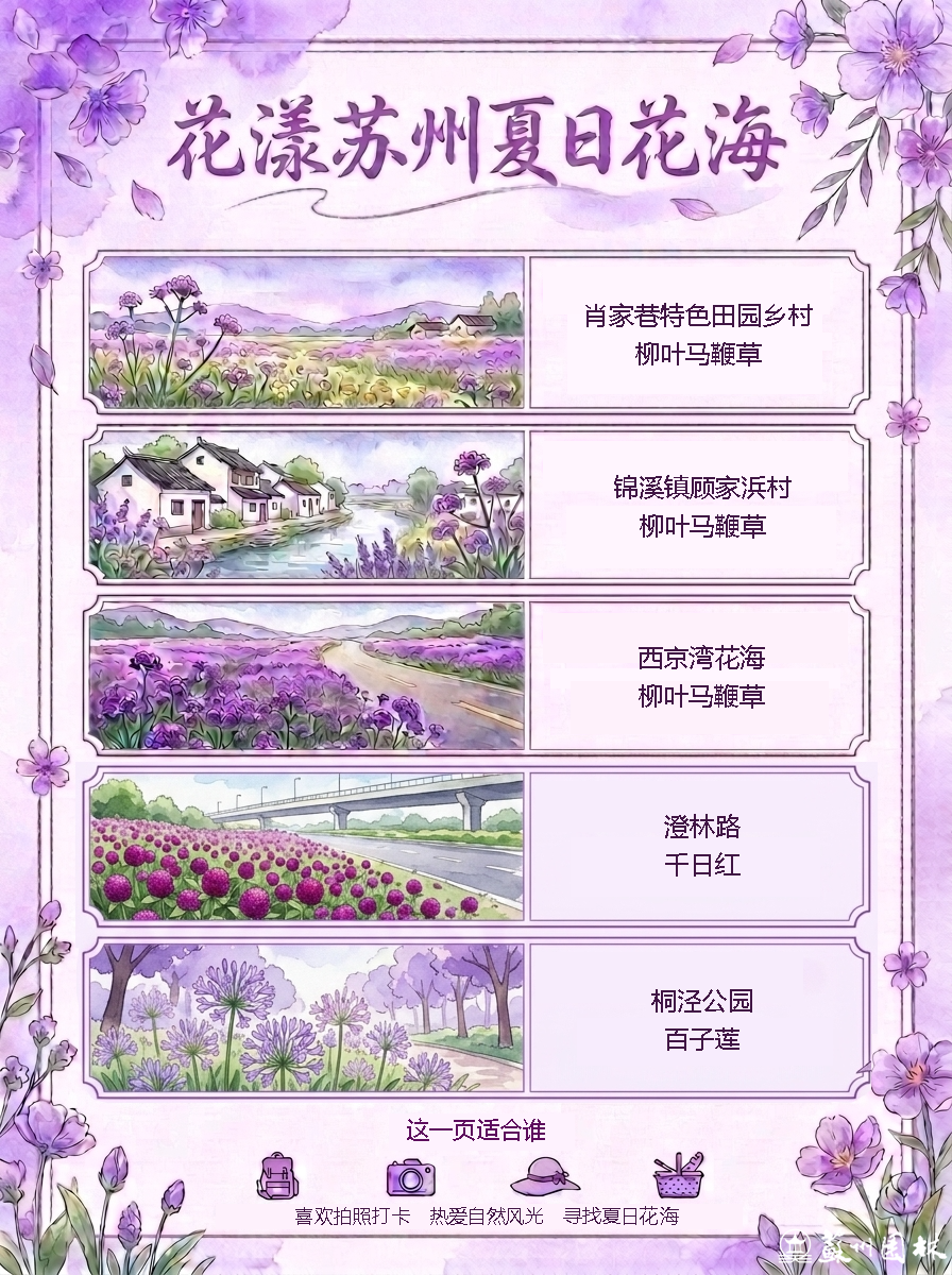 13.png