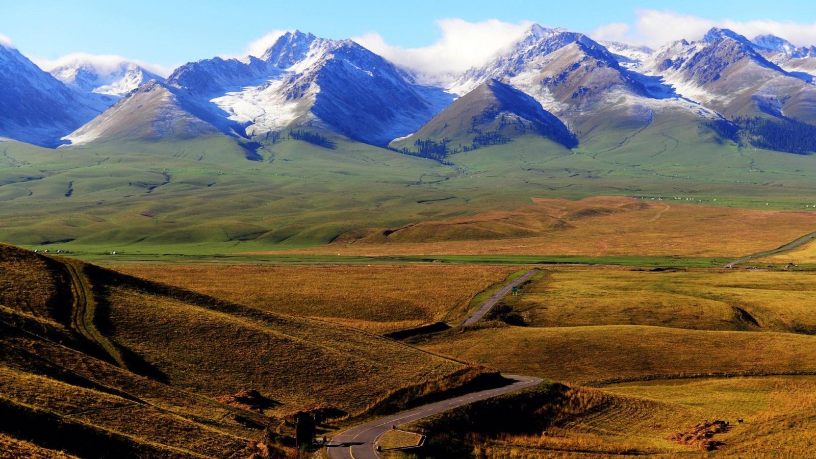 新疆天山（8） (1).jpg