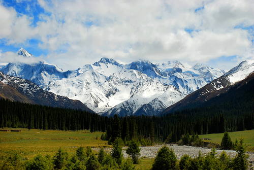 新疆天山 (2).jpg