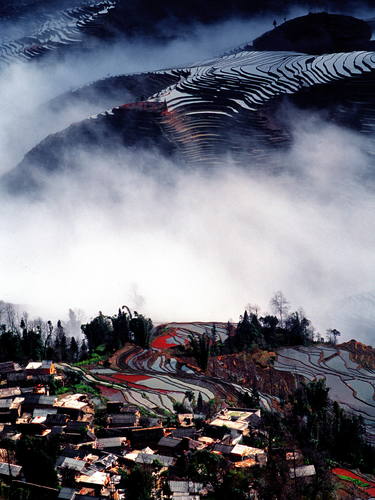 哈尼梯田 (9).jpg